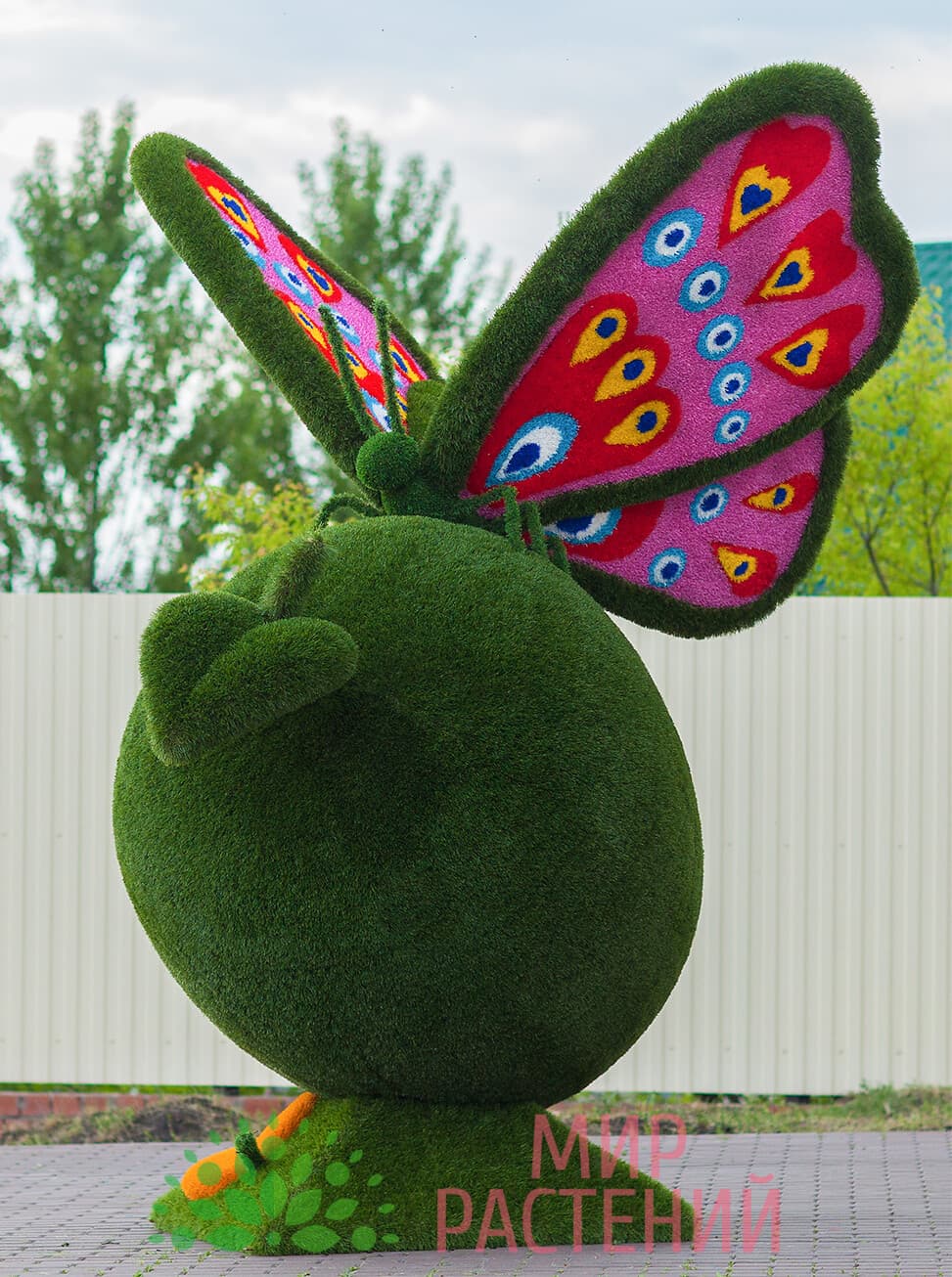 Топиарная фигура Бабочка на яблоке