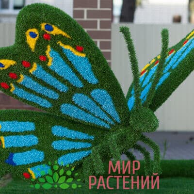 Топиарная фигура Бабочка на газон