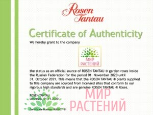 Сертификат Тантау 2021 Мир Растений