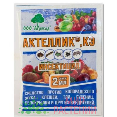 Актеллик