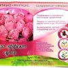 Роза эффект супер