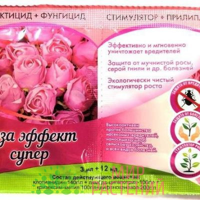 Роза эффект супер