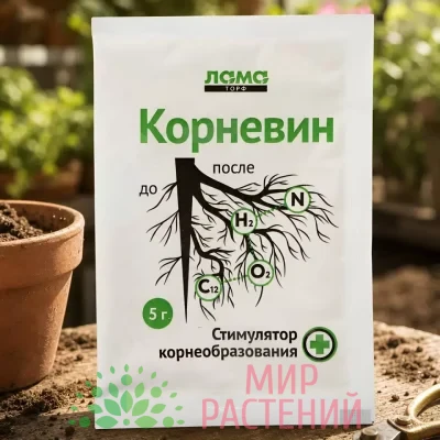 Корневин