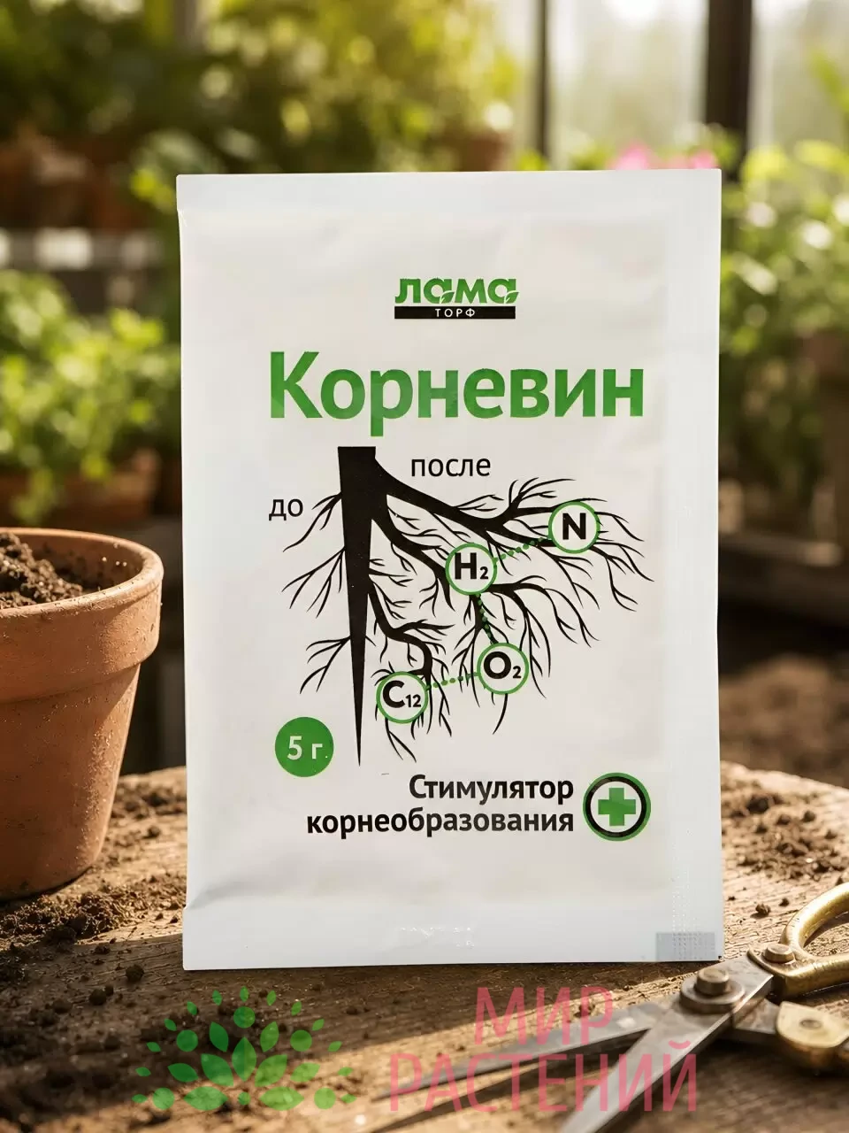 Корневин 1 Корневин
