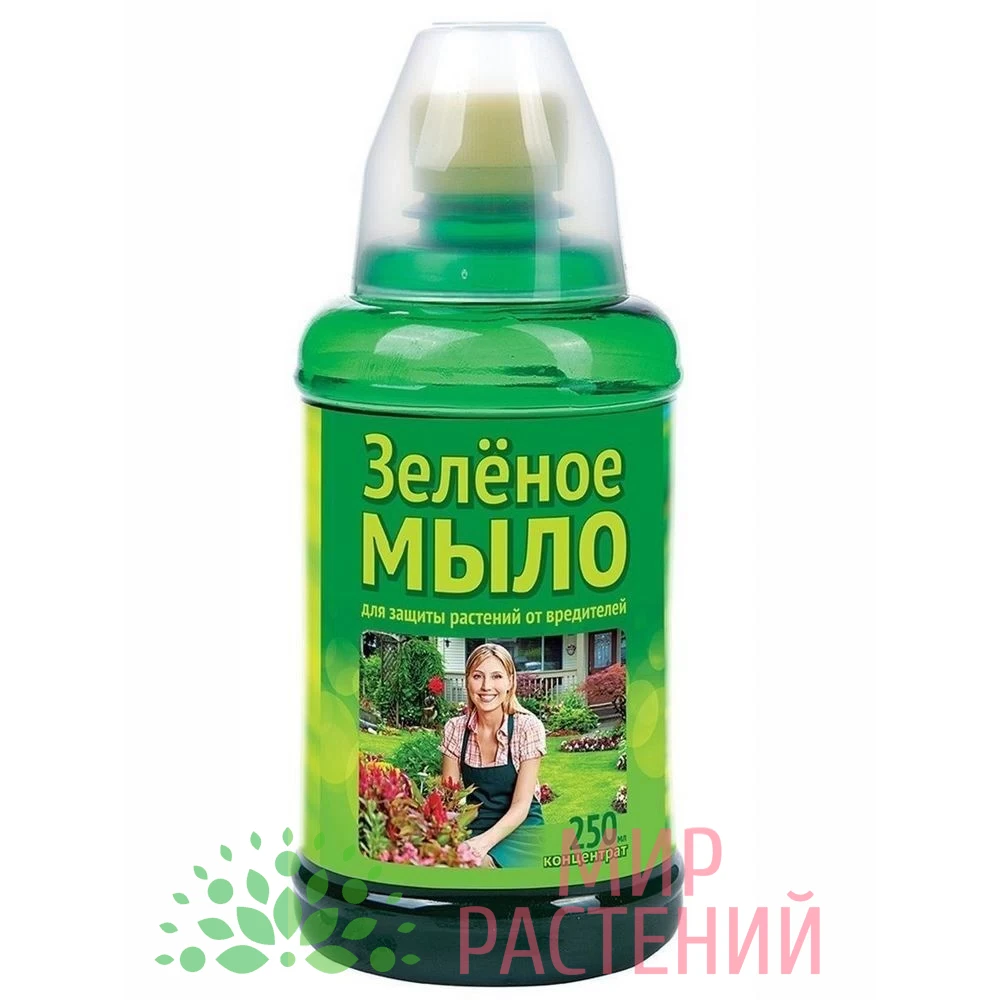 Зелёное мыло 1 Зелёное мыло